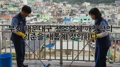 부산 해운대구 청소업체: 깨끗함의 기준을 새롭게 정의하다